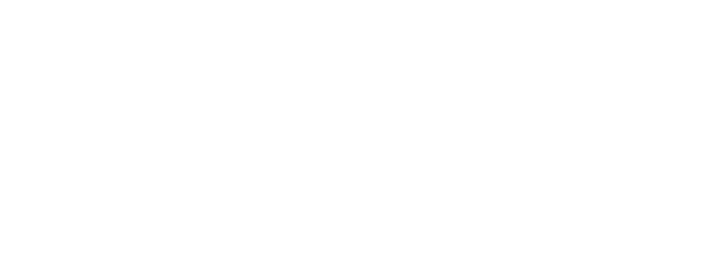 Naouel Salhi